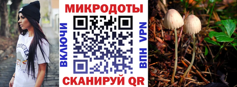 Галлюциногенные грибы Psilocybe  Балашов 